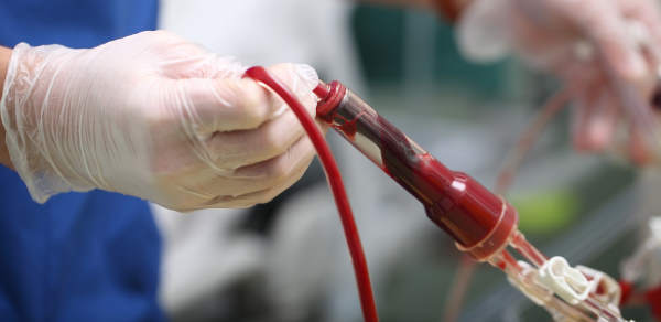 О переливании крови