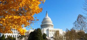 Three budget amendments in the US Congress