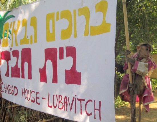 Обезьяна держит плакат  «Добро пожаловать в Дом ХАБАДа»