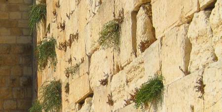 Статус камней Западной Стены (Котеля)